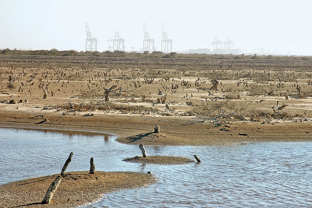 Mundra: The Port Of No Call