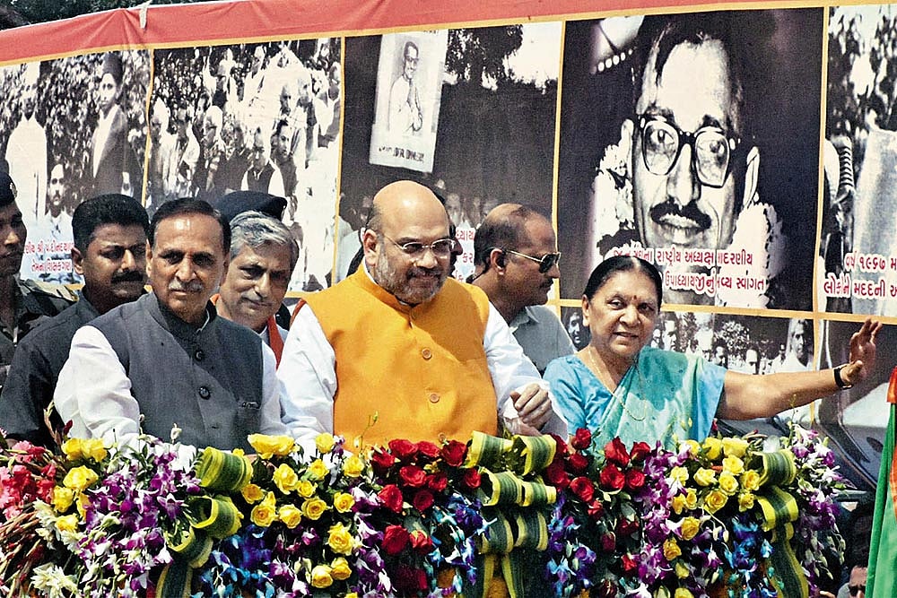 A Blue Riddle For The Shah Of Saffron