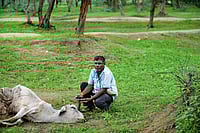 A Chandal’s Rage A Chandal’s Rage