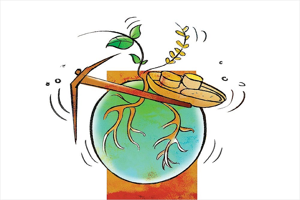 Soil To Soul: Combating Hidden Hunger