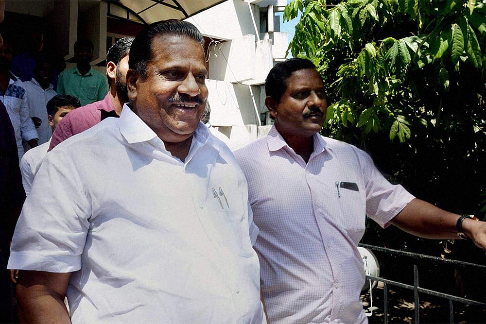 Fat Cats Of A Red Citadel