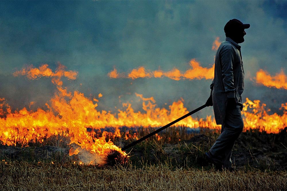 The Earth Scorched, A Capital Clogged