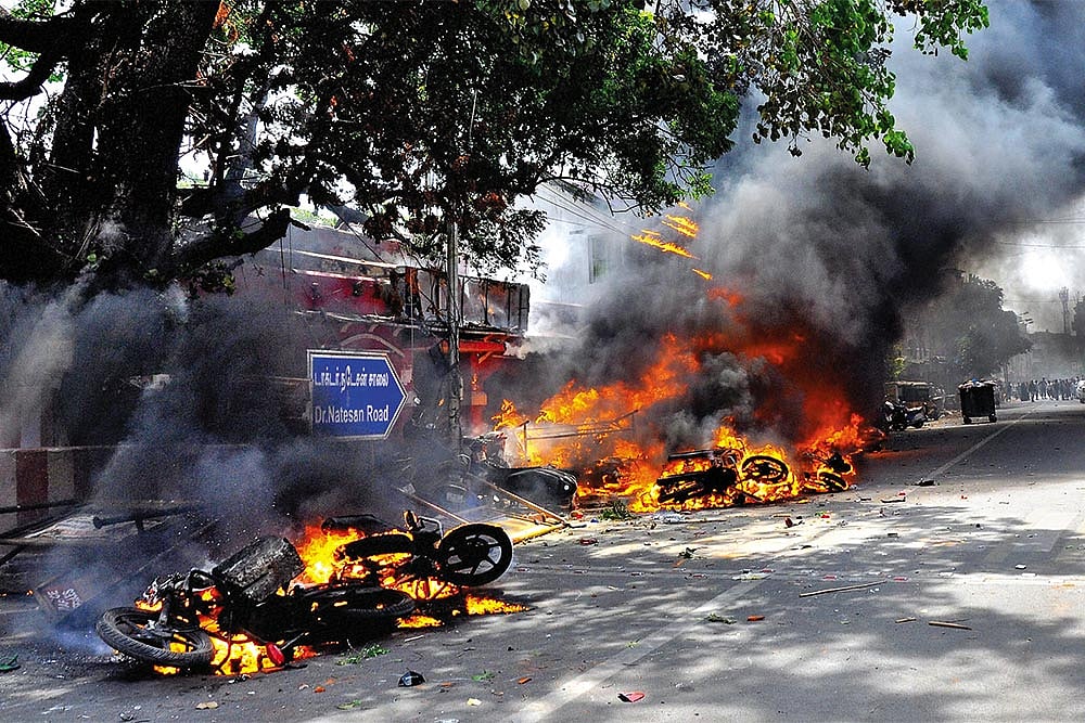 Cat-And-Mouse Over The Bull Game