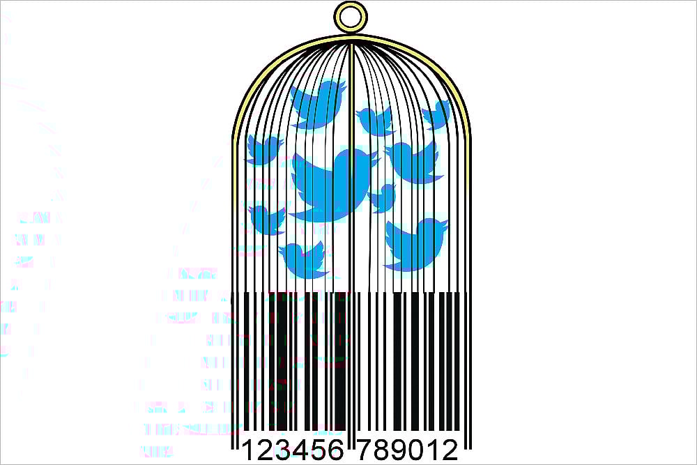 The Buzz Around That Celeb Is Unreal!