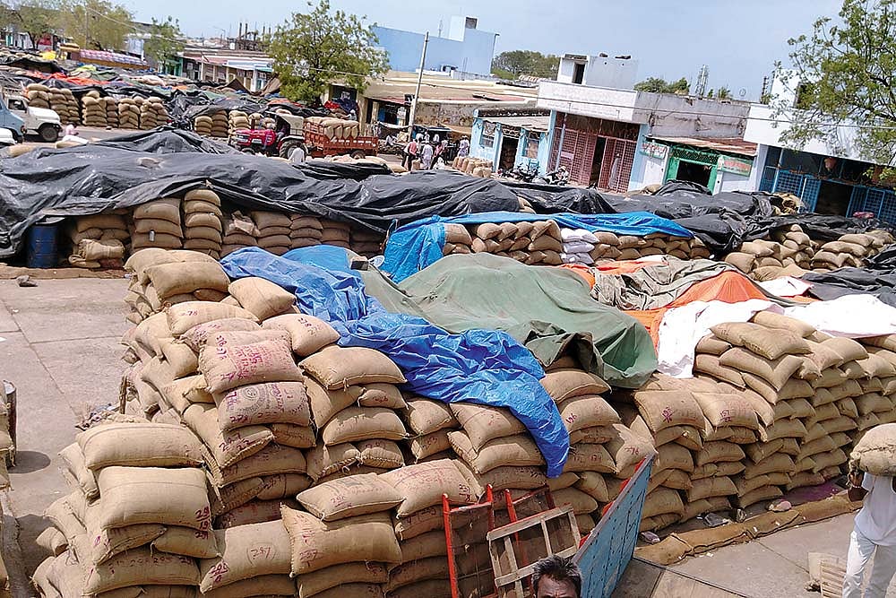 The Pulse In A Paradox Of Plenty