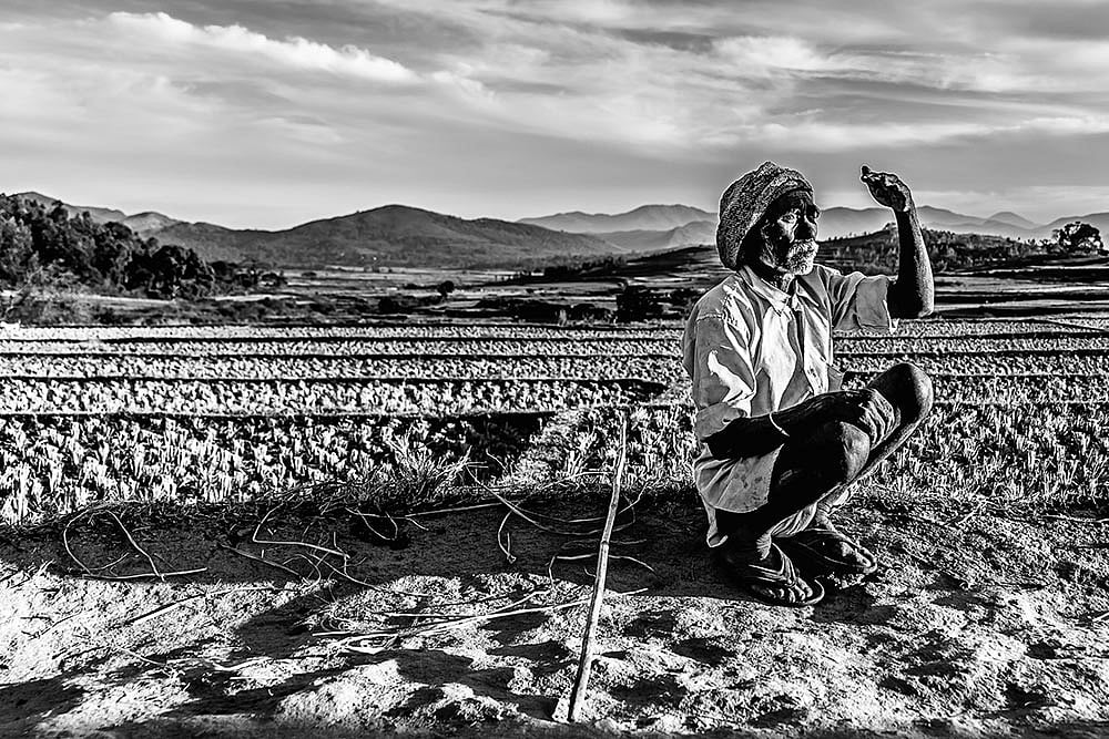 Rumble Of A Scary Trundle