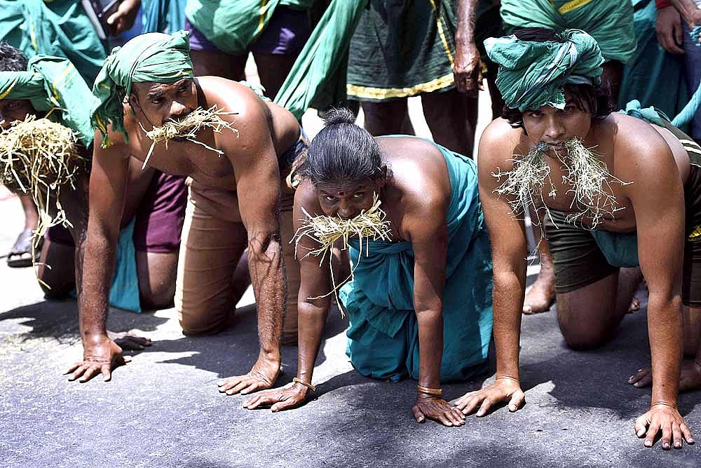 Peepli Live Minus Even The Satire