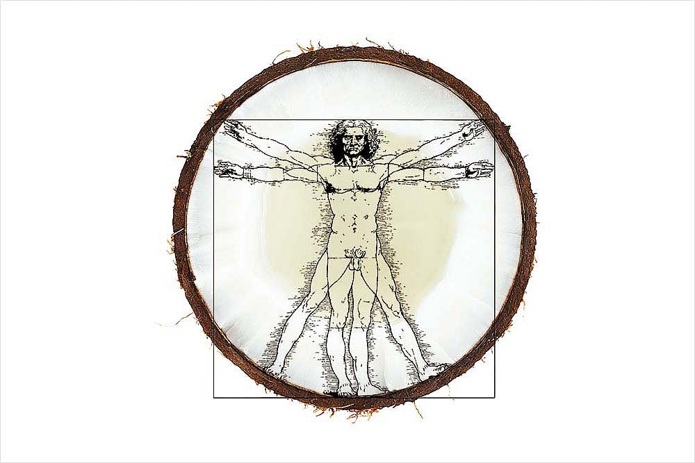 The Well-Oiled Coco Comeback