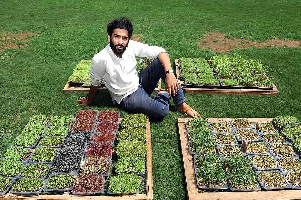 You Turn The Path Green