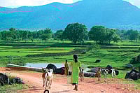 In The Continuous Battlefield In The Continuous Battlefield