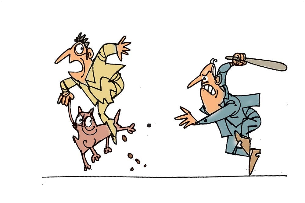 The Subcontinental Menu