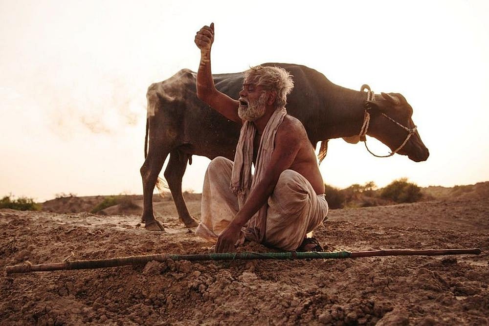 The Zest Of Both Worlds