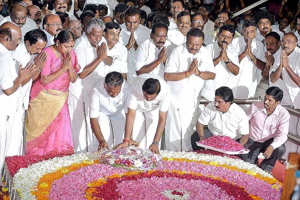 No Bud Amid Two Leaves