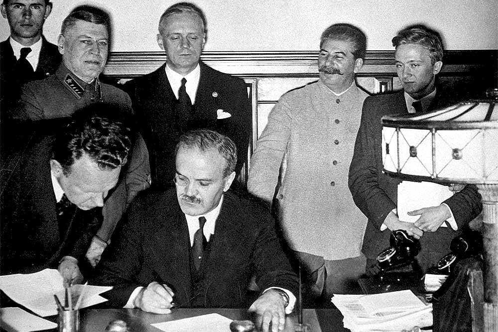 Fight Among The Wolves