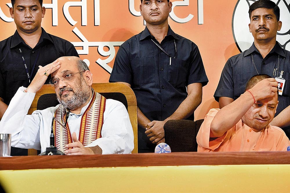 The Unease Under Those Lotus Crowns