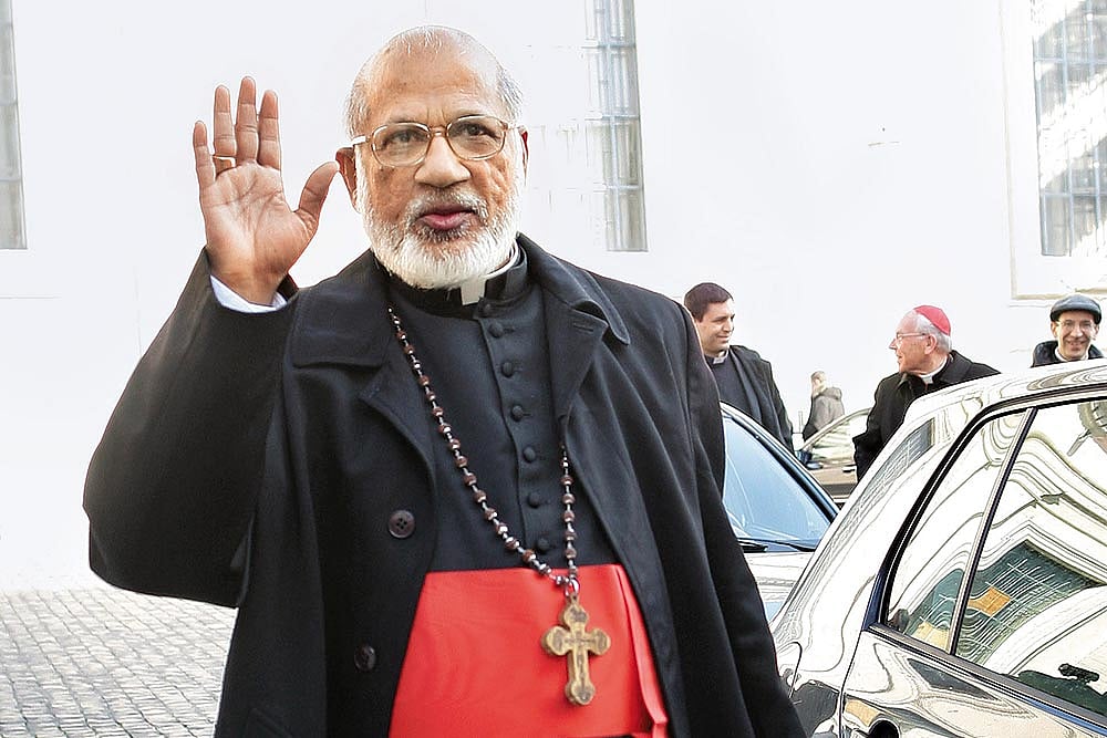 Sheep Call The Shepherd Wolf