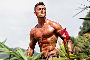 Tiger Tiger, Burning Bronze