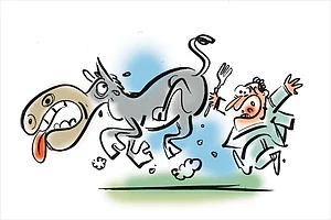 The Subcontinental Menu