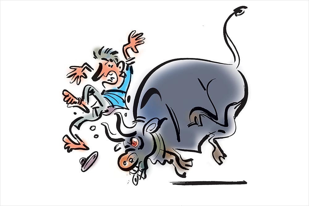 The Subcontinental Menu