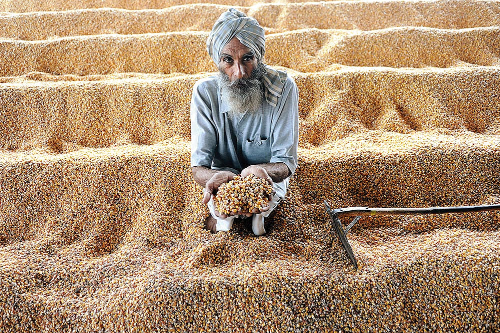 Much-Hyped Hike In Minimum Support Price May Not Benefit Farmers