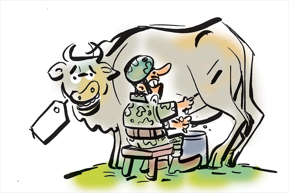 The Subcontinental Menu