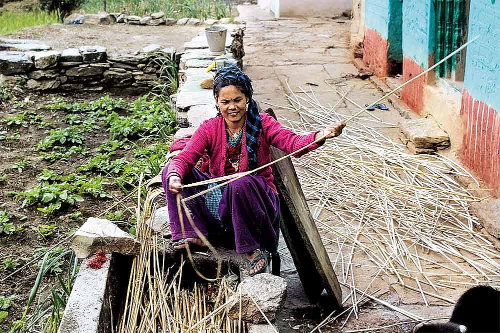 Don’t Look Past A Green Day