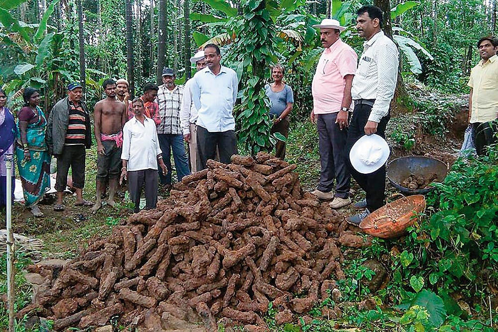 Tipu Of A Thousand Rockets