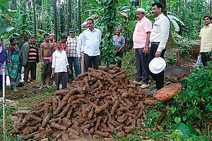 Tipu Of A Thousand Rockets