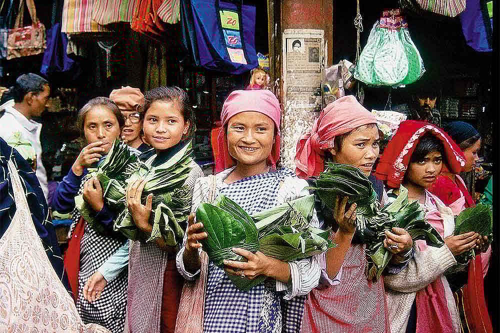 The Hills Tied In Knots