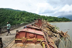 Grow With Roots In The Earth | By Madhav Gadgil