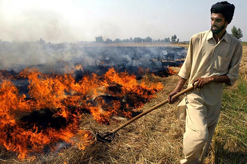 Winter Is Coming And So Is Deadly Smog From Stubble Burning