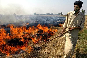 Winter Is Coming And So Is Deadly Smog From Stubble Burning
