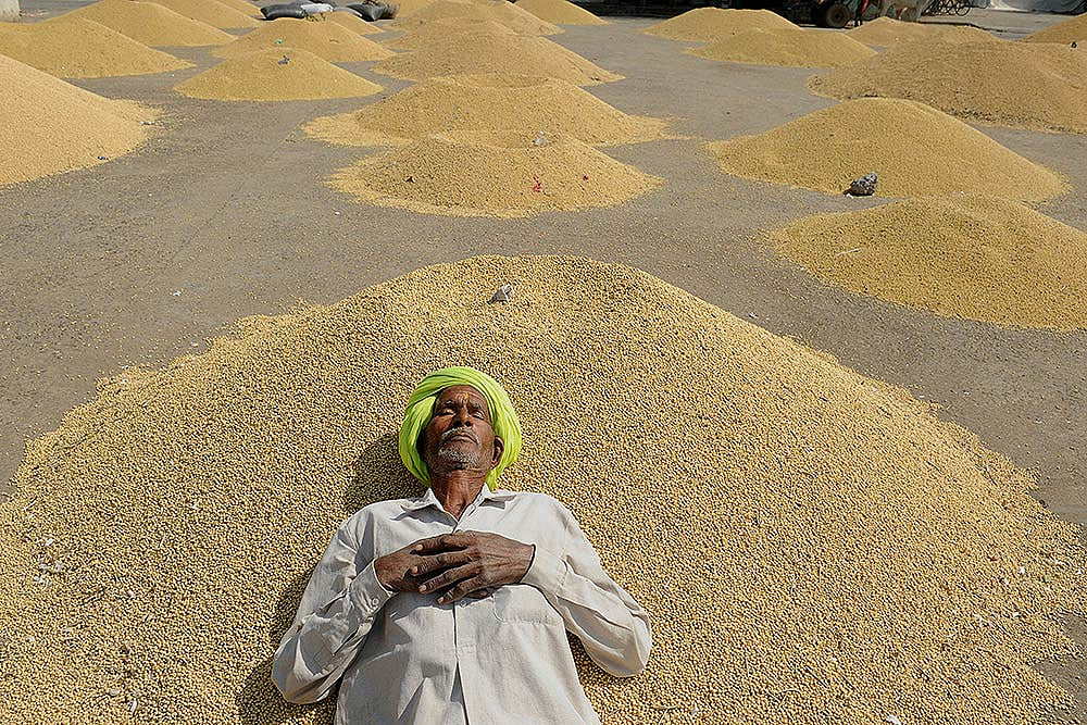 In Poll-Bound Madhya Pradesh, Farmers’ Anger Grows Despite A Good Harvest