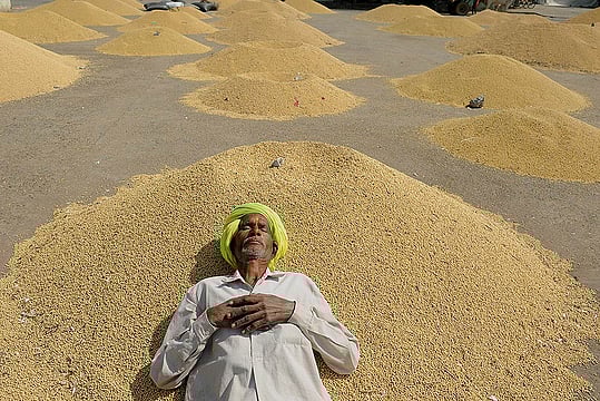 In Poll-Bound Madhya Pradesh, Farmers’ Anger Grows Despite A Good Harvest