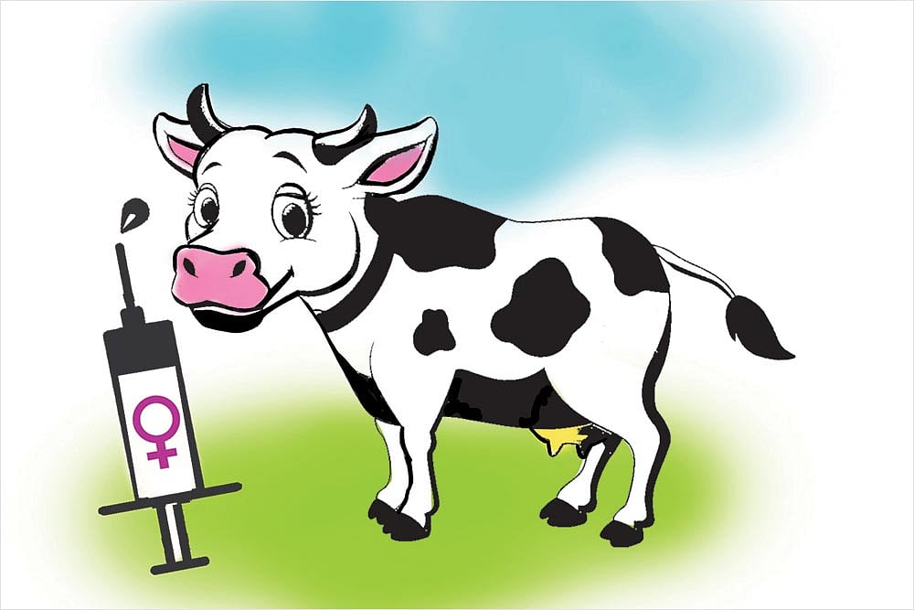 The Subcontinental Menu