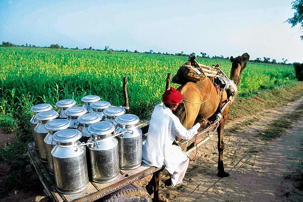 Let’s Cultivate The Collective