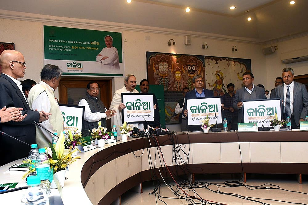 Odisha's KALIA Scheme Aims To Benefit Agri Eco-System