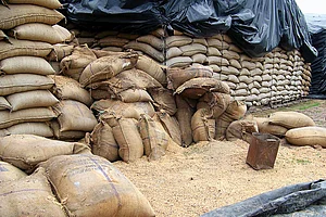 Turning Food To Feed