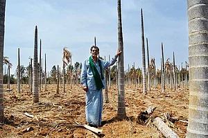 At The Mercy Of Rain God, Chitradurga On Lifeline Again
