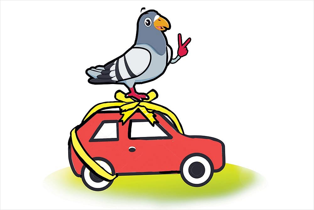 The Subcontinental Menu