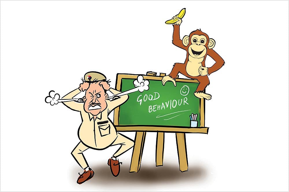 The Subcontinental Menu