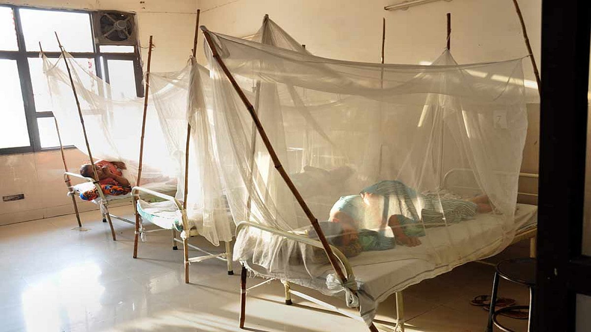 People sleeping inside mosquito nets. 