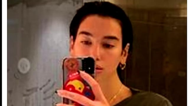 Dua Lipa Shares Shower Selfie Flaunting Abs, Fans Spot X-Rated Detail In Picture