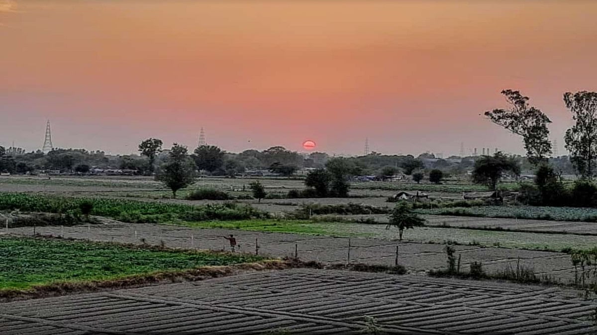 Telangana Finance Minister Harish Rao Attacks BJP