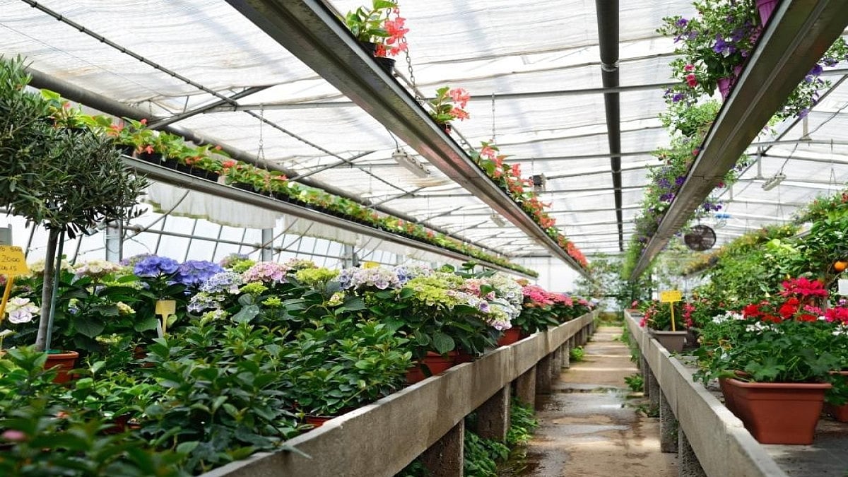 India Expects Record Horticulture Crops Production