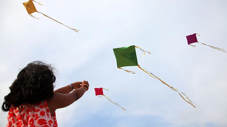 Kite flying in Gujarat during Makar Sankranti - null