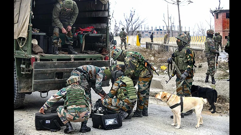 The recovery were made during a joint search by personnel of the district police and Central Reserve Police Force (CRPF) at Gobardah Pahar area within Madanpur police station limits on Sunday. - File photo