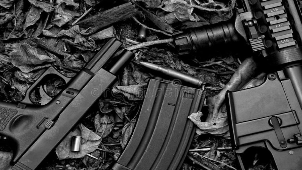 Illegal Weapons Seized