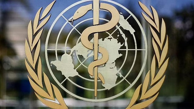 Possibility Of New Covid-19 Variant, Very High: WHO