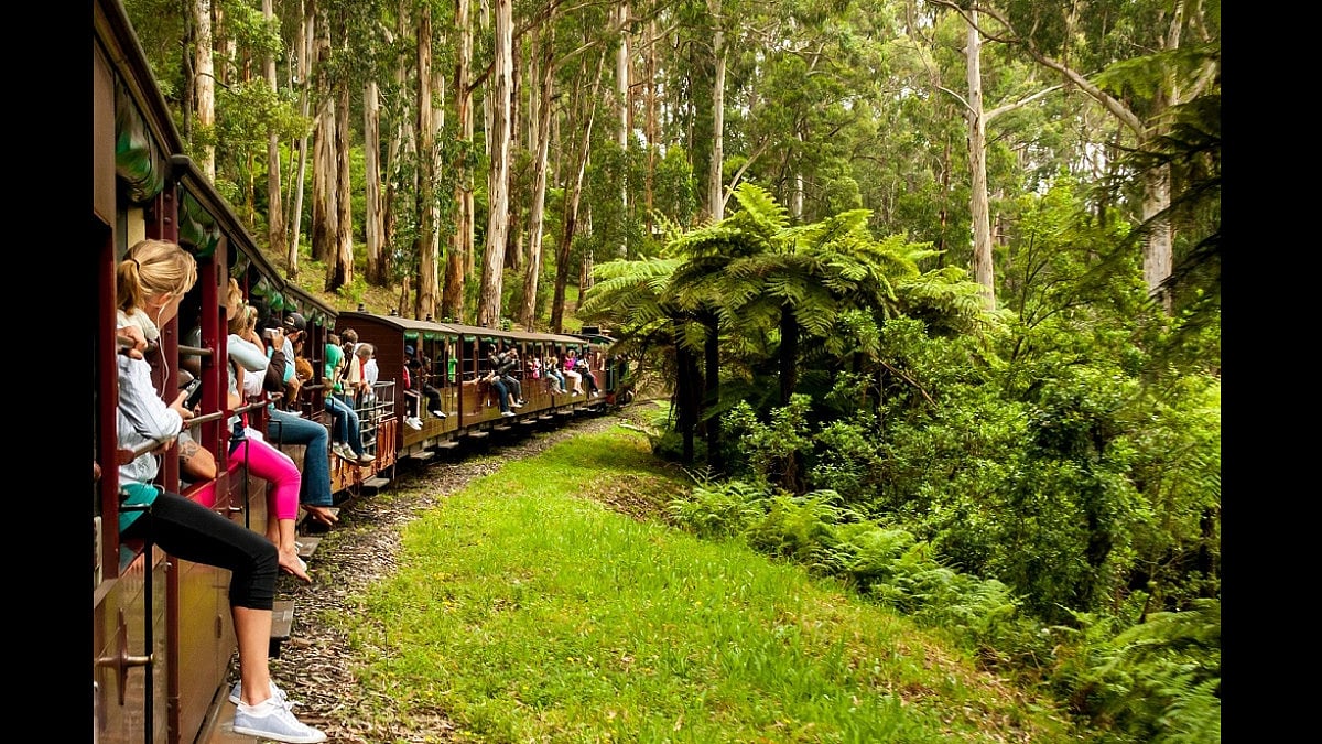 Passengers with their feet outside the carriages of a Puffing Billy train